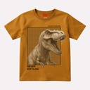 Camiseta Juvenil Masculino Kyly 1001902 Marrom 1