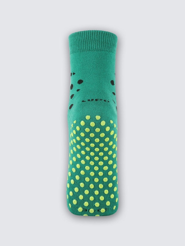 02941-008 Verde 2