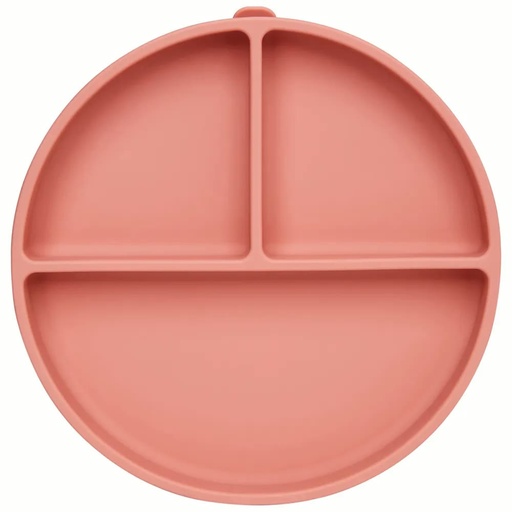 Pratinho de Silicone com Ventosa e Divisórias