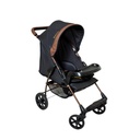 Carrinho de Bebê Romano Galzerano 1035
