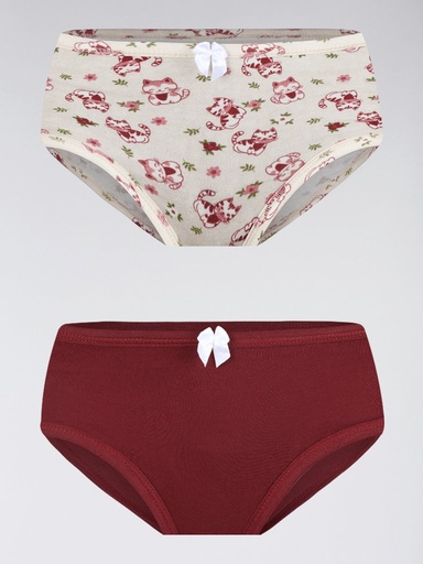 Kit 2 Calcinhas Estampadas para Menina